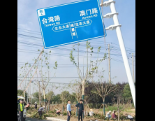 施工案例