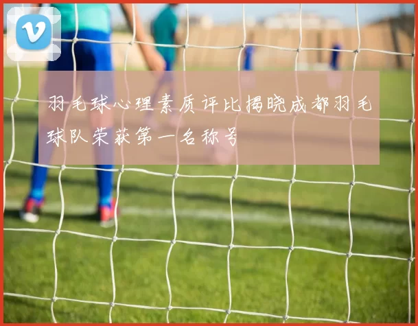 羽毛球心理素质评比揭晓成都羽毛球队荣获第一名称号