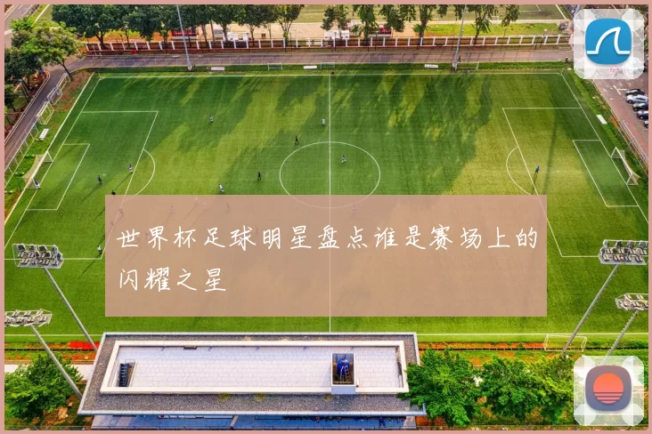 世界杯足球明星盘点谁是赛场上的闪耀之星