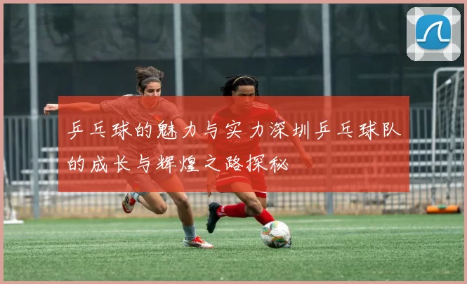 乒乓球的魅力与实力深圳乒乓球队的成长与辉煌之路探秘