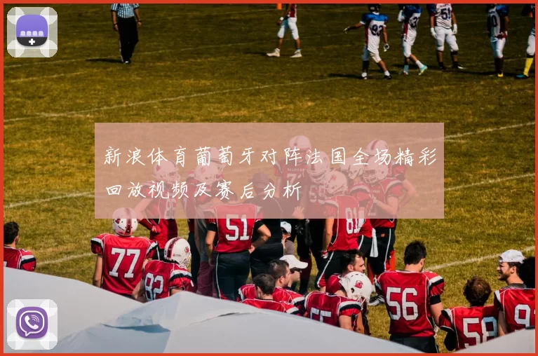 新浪体育葡萄牙对阵法国全场精彩回放视频及赛后分析