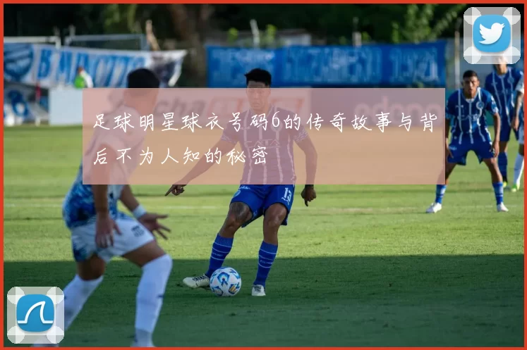 足球明星球衣号码6的传奇故事与背后不为人知的秘密