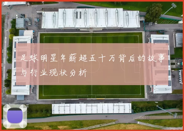 足球明星年薪超五十万背后的故事与行业现状分析