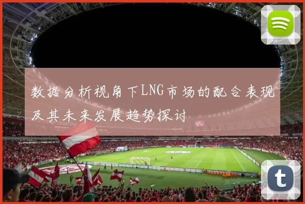 数据分析视角下LNG市场的配合表现及其未来发展趋势探讨