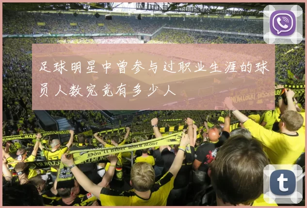 足球明星中曾参与过职业生涯的球员人数究竟有多少人