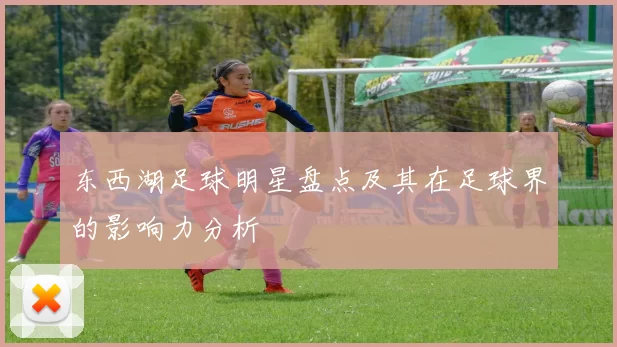 东西湖足球明星盘点及其在足球界的影响力分析