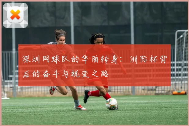 深圳网球队的华丽转身：洲际杯背后的奋斗与蜕变之路