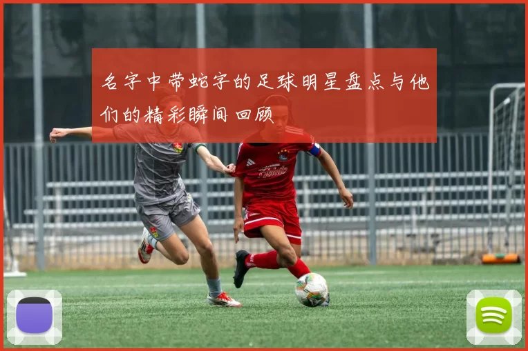 名字中带蛇字的足球明星盘点与他们的精彩瞬间回顾