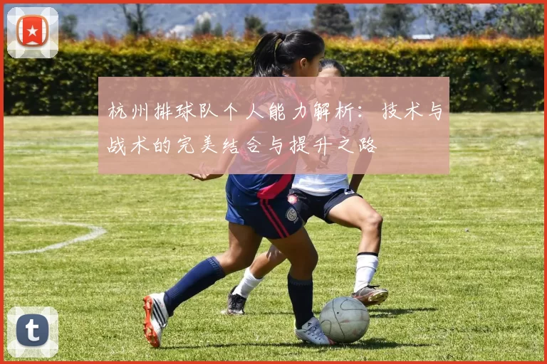杭州排球队个人能力解析：技术与战术的完美结合与提升之路
