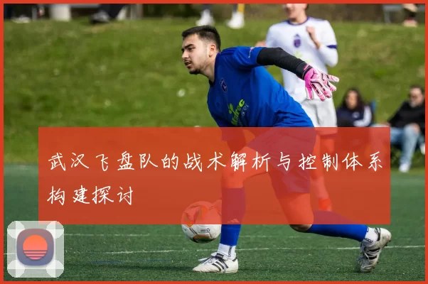 武汉飞盘队的战术解析与控制体系构建探讨