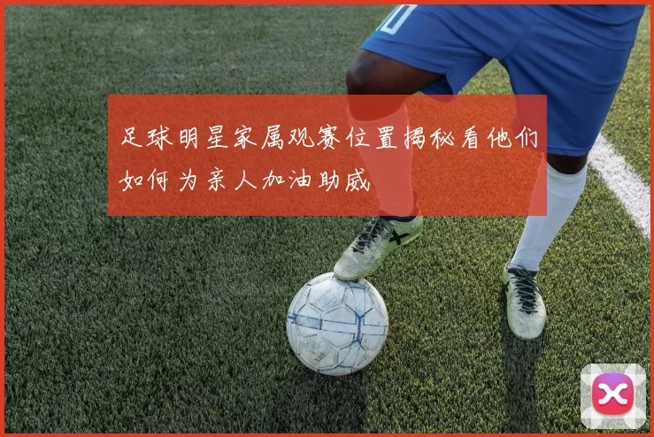 足球明星家属观赛位置揭秘看他们如何为亲人加油助威