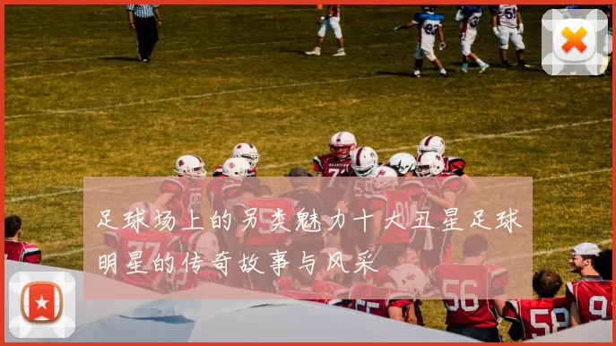 足球场上的另类魅力十大丑星足球明星的传奇故事与风采