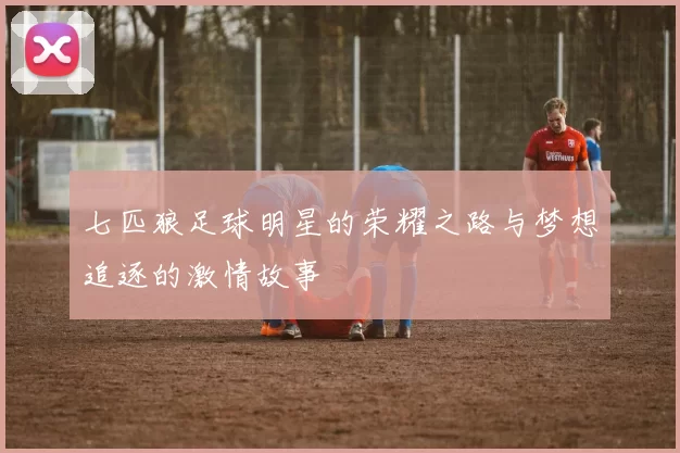 七匹狼足球明星的荣耀之路与梦想追逐的激情故事