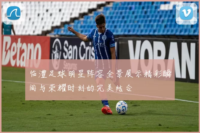 临澧足球明星阵容全景展示精彩瞬间与荣耀时刻的完美结合