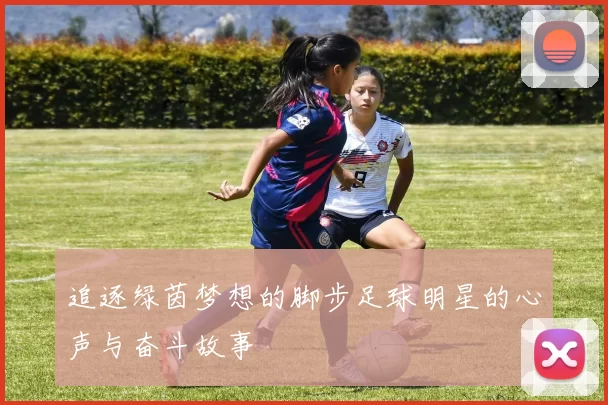 追逐绿茵梦想的脚步足球明星的心声与奋斗故事