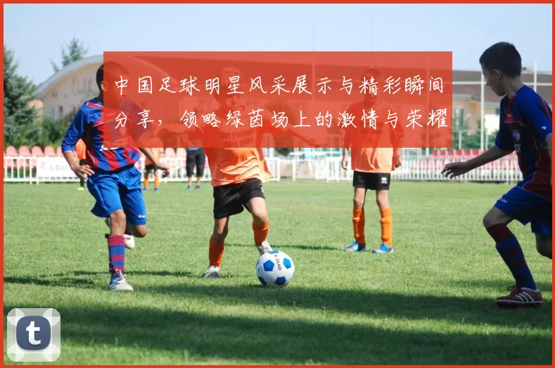 中国足球明星风采展示与精彩瞬间分享，领略绿茵场上的激情与荣耀