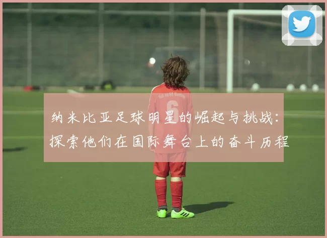 纳米比亚足球明星的崛起与挑战：探索他们在国际舞台上的奋斗历程与成就