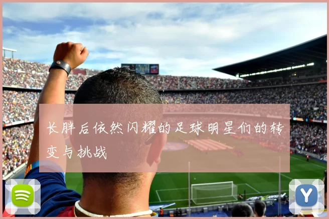 长胖后依然闪耀的足球明星们的转变与挑战