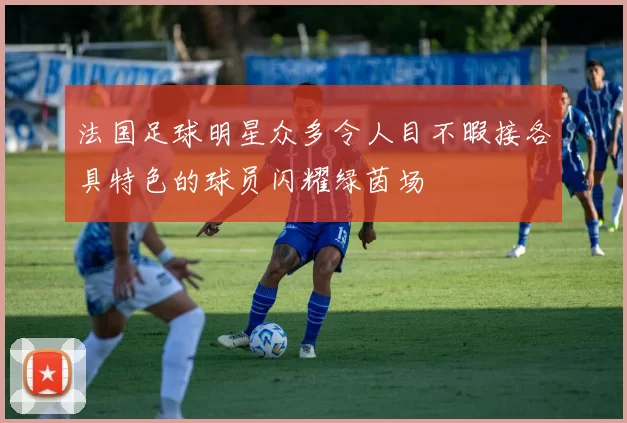 法国足球明星众多令人目不暇接各具特色的球员闪耀绿茵场