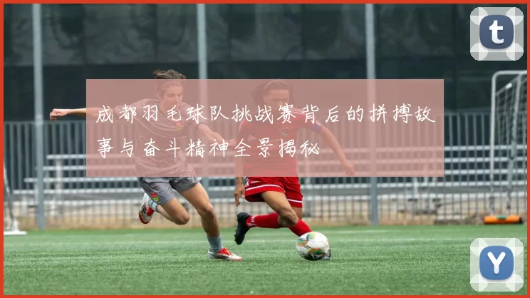 成都羽毛球队挑战赛背后的拼搏故事与奋斗精神全景揭秘