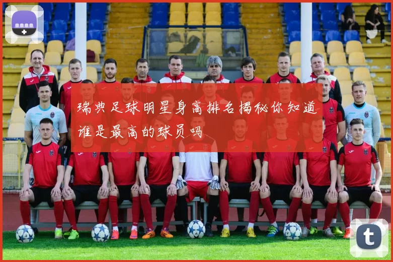 瑞典足球明星身高排名揭秘你知道谁是最高的球员吗