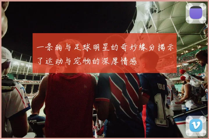 一条狗与足球明星的奇妙缘分揭示了运动与宠物的深厚情感