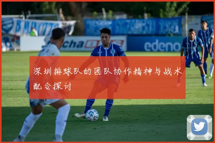 深圳排球队的团队协作精神与战术配合探讨