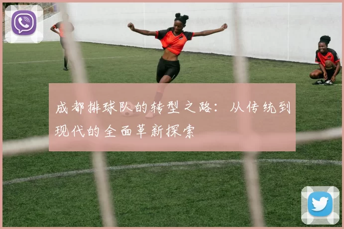 成都排球队的转型之路：从传统到现代的全面革新探索