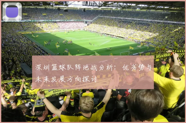深圳篮球队阵地战分析：优劣势与未来发展方向探讨