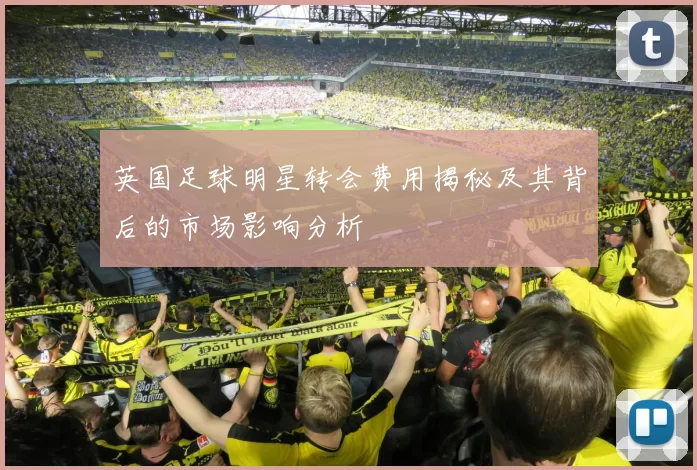 英国足球明星转会费用揭秘及其背后的市场影响分析