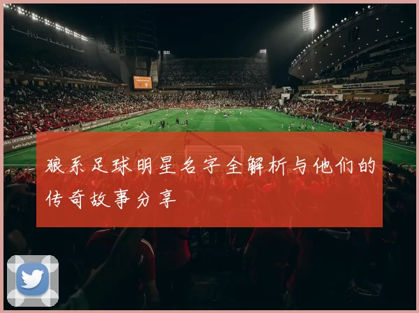 狼系足球明星名字全解析与他们的传奇故事分享